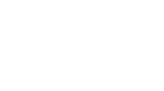 Santam